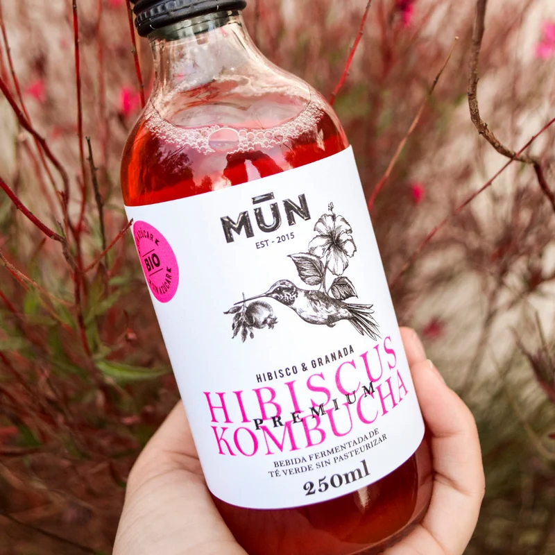 BOOCH PACK | 12 botellas 250 ml