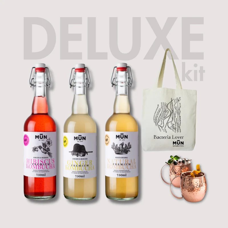 Mūn Kombucha Deluxe Cocktail Kit