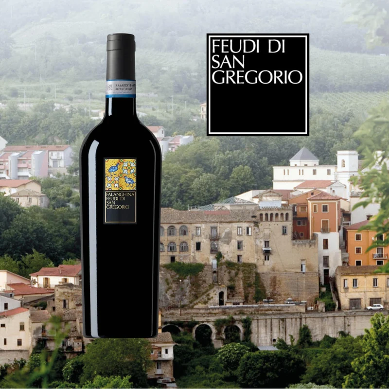 Feudi di San Gregorio - Falanghina del Sannio 2024 DOC - Vino Bianco Cassetta da 12 Bottiglie - 12,5% Vol. 375 ml (Confezione da 12 bottiglie)