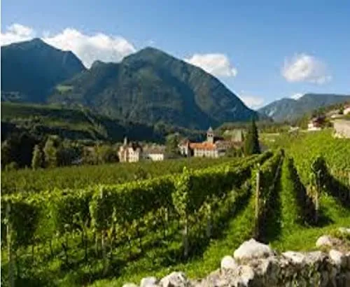 Müller Thurgau Alto Adige DOC, Abbazia di Novacella, 750ml
