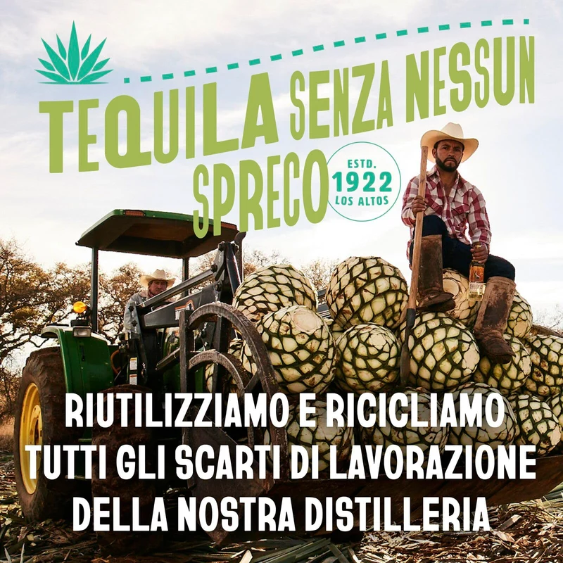 Cocktail Paloma CAZADORES pronto da bere, senza glutine e con aromi naturali, 5% ABV, 12 x 25cl / 250ml