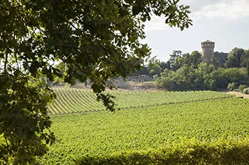 Castello della Sala Conte Della Vipera Umbria IGT, 750ml