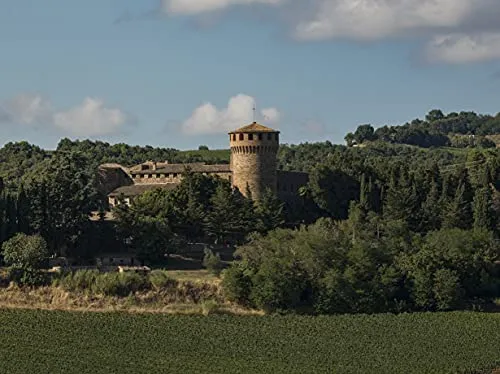 Castello della Sala Cervaro della Sala Umbria IGT, 750 ml