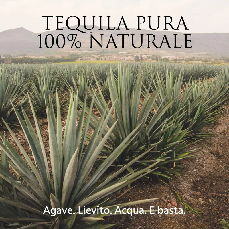 PATRÓN Añejo Premium Tequila, Vol. 40%, 70 cl / 700 ml, creata in Messico in piccoli lotti a partire dal 100% della migliore agave Weber Blue, invecchiata per oltre 12 mesi in botti di rovere