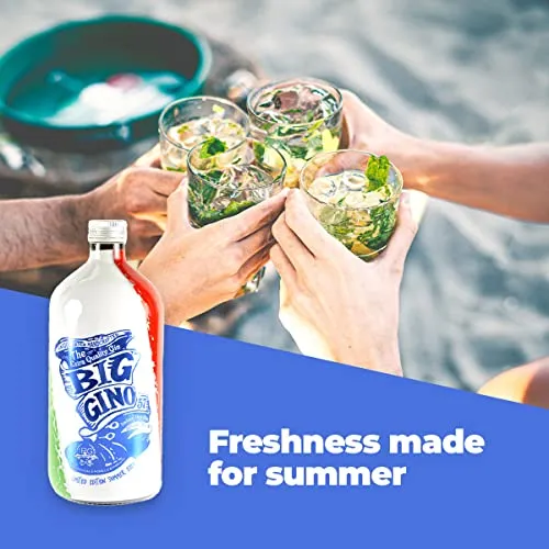 Big Gino - Gin Da 1l Limited Edition Europei 2021- Gin Dolce Profumato Con Note Di Ginepro, Pomelo E Bacche Di Pimento. Ottimo Gin Per Cocktail Esotici, Pestati E Ricchi Di Frutta.