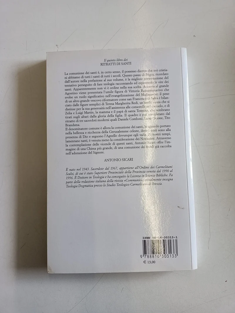 Il quinto libro dei ritratti di santi. Agostino di Ippona, Francesco di Sales, Teresa Margherita Redi, Zelia Guérin e Luigi Martin, Daniele Comboni...