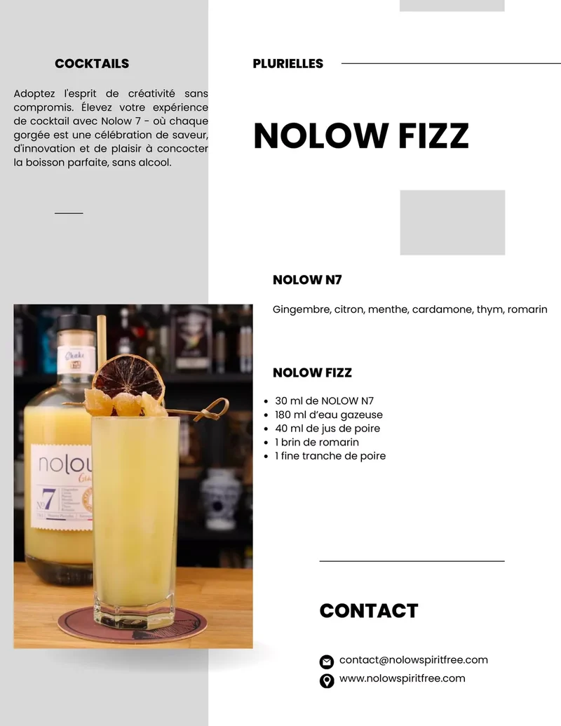 Nolow Ginger sans alcool N°7
