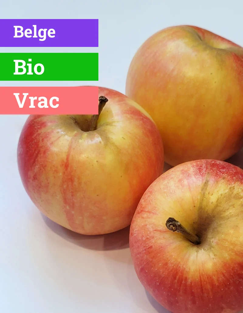 Pomme | Gala | 170g | Bio