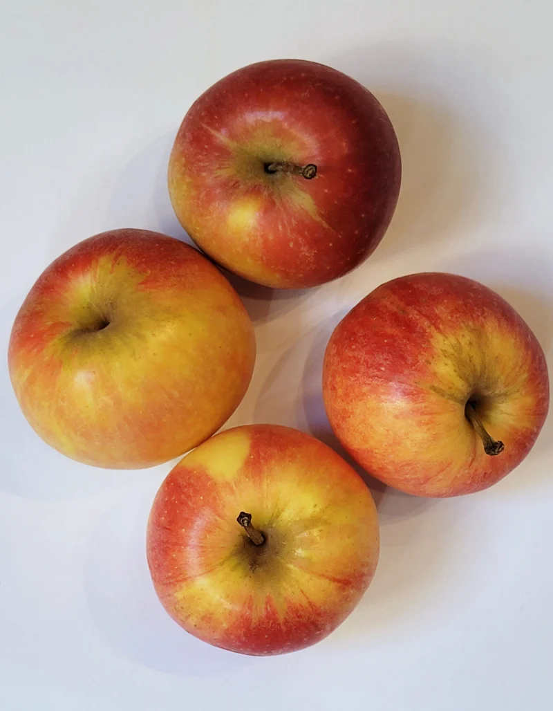 Pomme | Gala | 170g | Bio