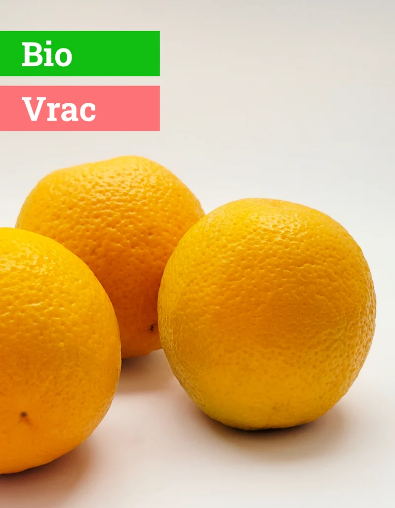 Orange Navel | 1 Pce | Bio
