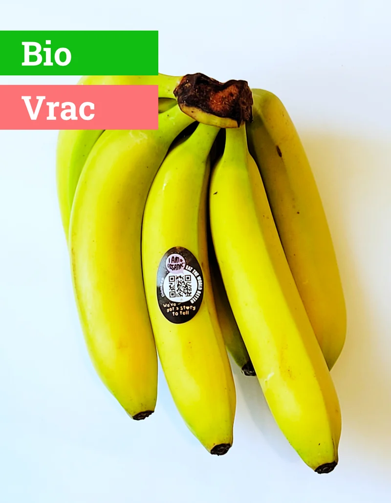Bananes | Fairtrade | 1 Pce | Bio
