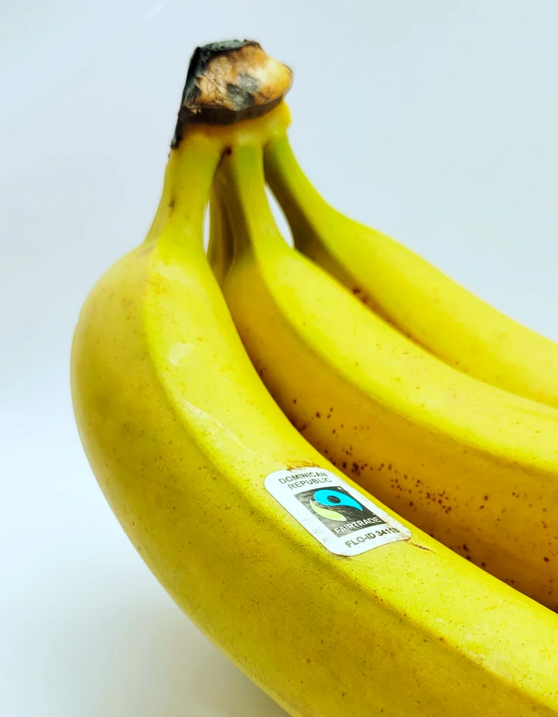 Bananes | Fairtrade | 1 Pce | Bio
