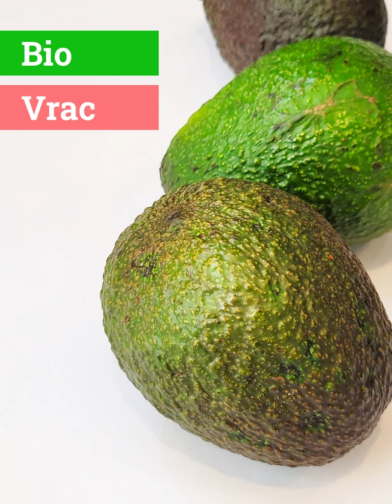 Avocat | 1 Pce | Bio