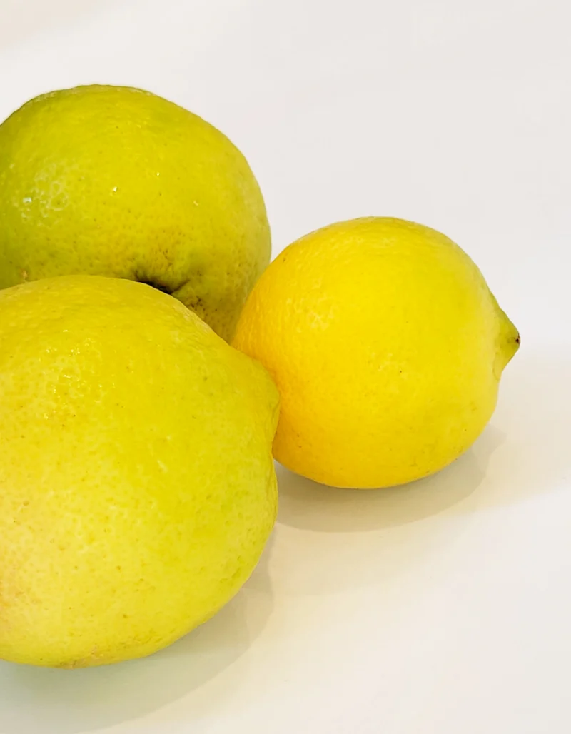 Citron | 1 Pce | Bio