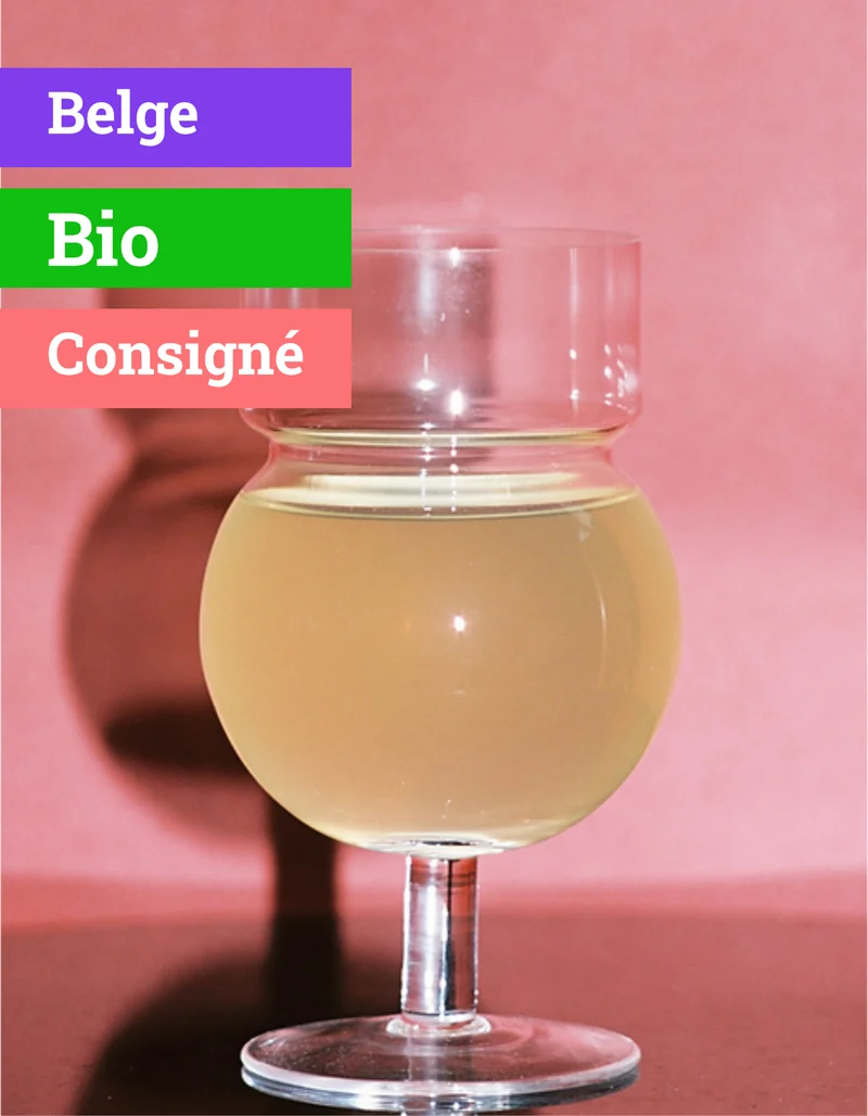 Kéfir Gingembre & Curcuma | 33cl | Bio